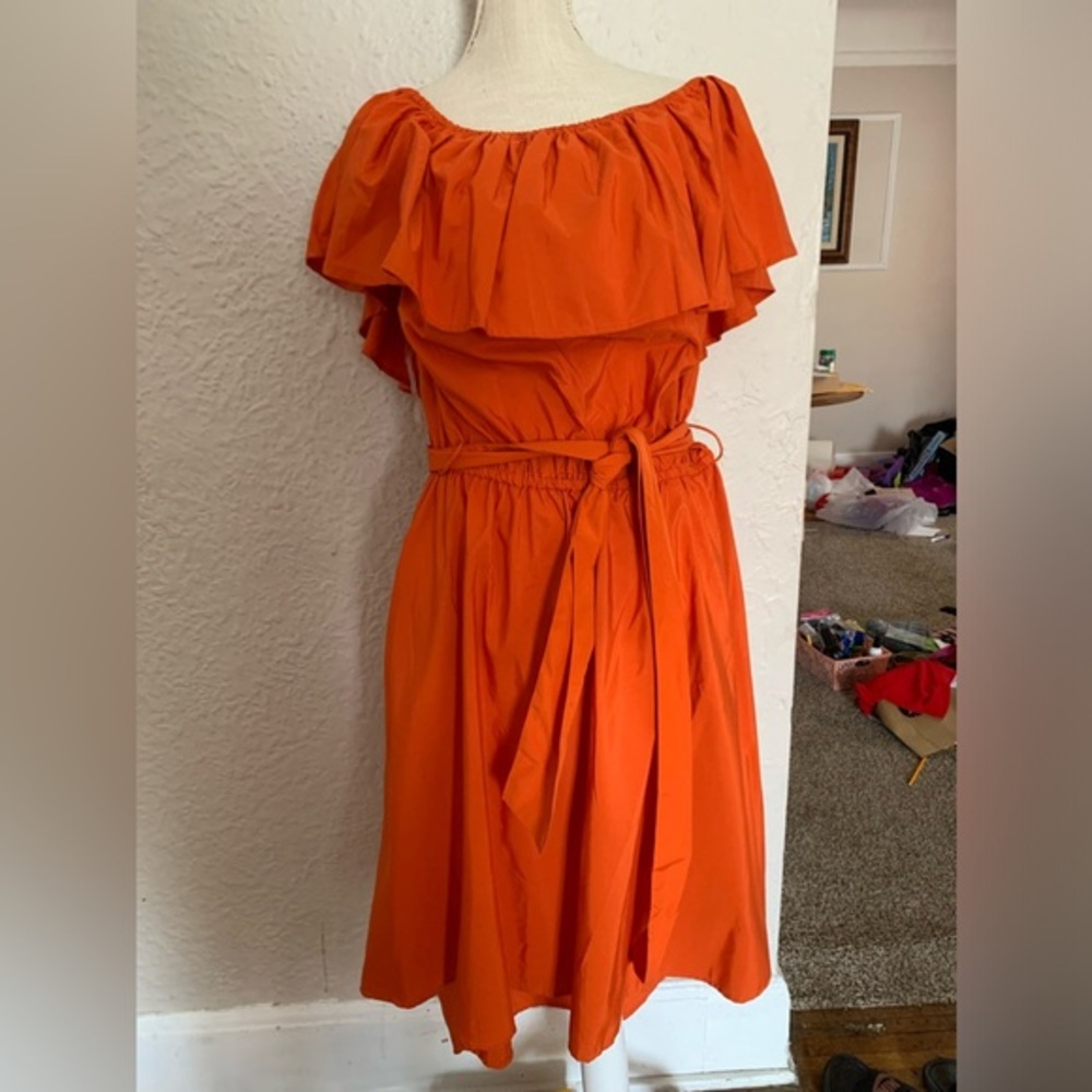 Plus AS burnt orange dress 18/20
